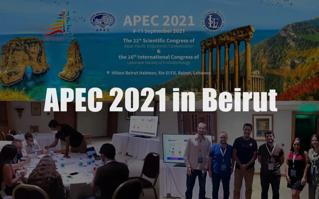 APEC 2021 Beirut